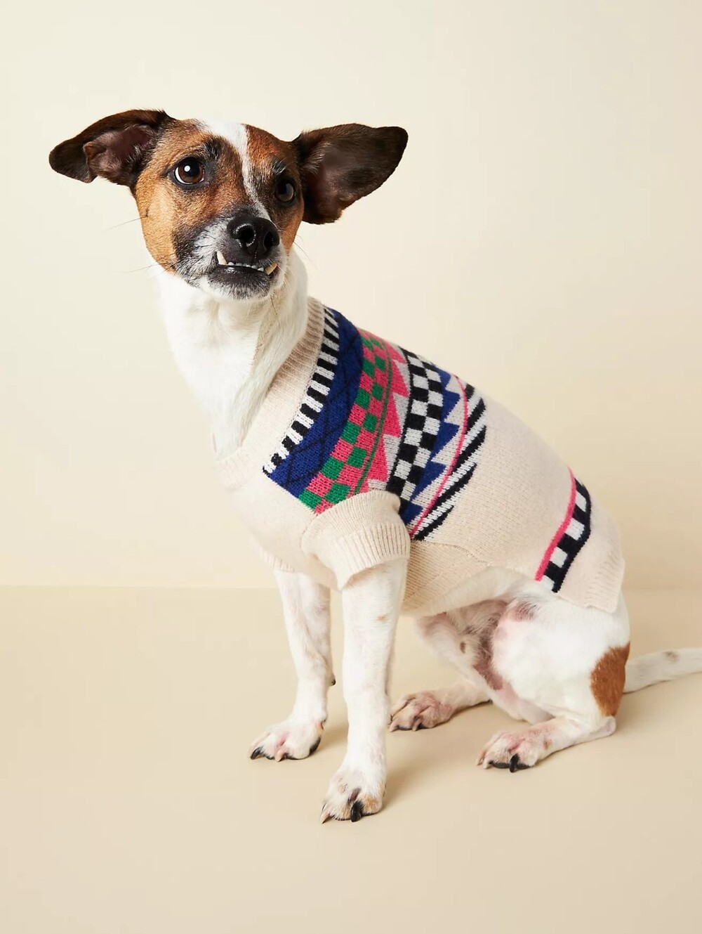 WARE OF THE DOG Fairisle Merino Wool Dog Sweater Size 3 - 15" EUC Cute Fall Pet